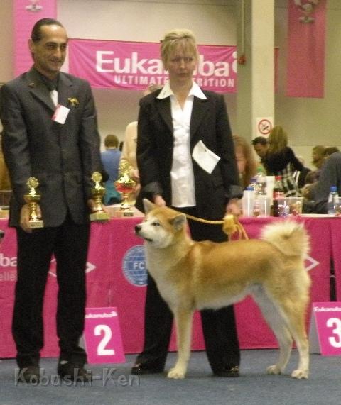 Harumi_Ausstellung.JPG - Harumi erhält V2 in der Jugendklasse auf der Eurosieger in Dortmund