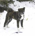 Emi_IMG_0882a