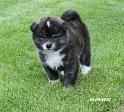 IMG_2325a