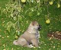 IMG_2635a