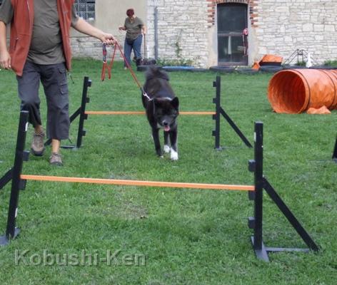 2-Hundeplatz-September-2008.JPG - Hundeplatz - September 2008