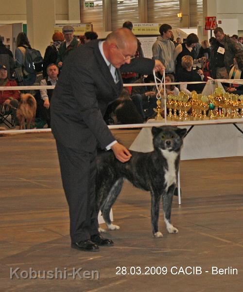 CACIB-Berlin.JPG - Kosho erhält auf ihrer 1. Ausstellung die Bewertung  V2