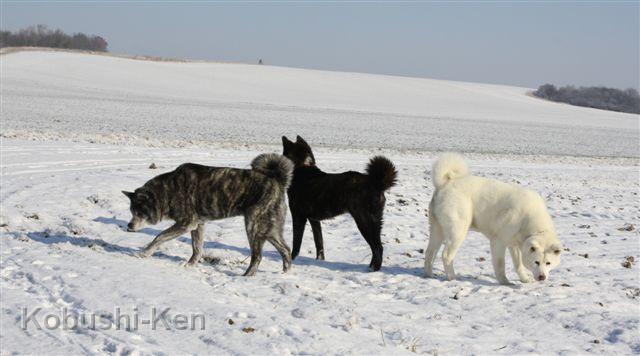 IMG_3872a.JPG - Winterspaß - Februar 2012