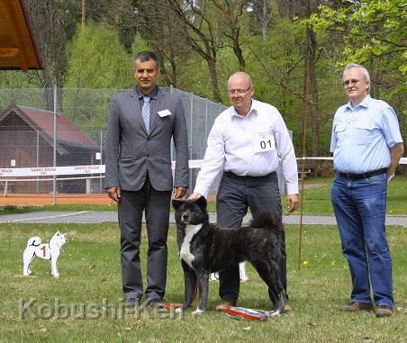 Schwarzw_BOB_6237a.JPG - Kosho wird BOB auf der SRA in Schömberg