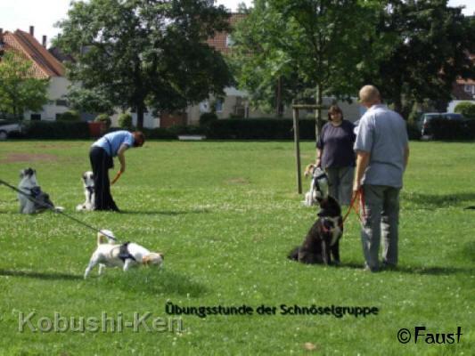kosho_08.jpg - Kosho in der Hundeschule