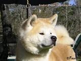 kosho_02
