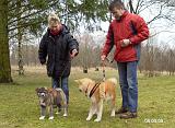08-03-09A_HeesebergJPG