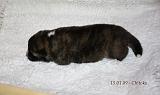 IMG_0261a