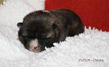 IMG_0264a