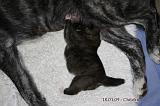 IMG_0267a