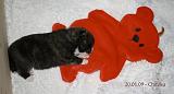 IMG_0276a