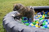 IMG_0471a