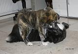 IMG_0560a