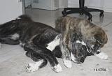 IMG_0566a