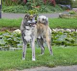 IMG_1089a