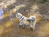 100_4123_Sukia