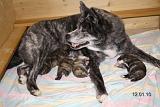 IMG_1394a