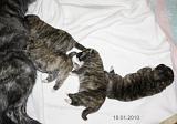 IMG_1462a