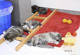 IMG_1543a