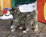 IMG_1695a