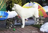 IMG_1701b
