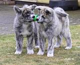 IMG_1787a
