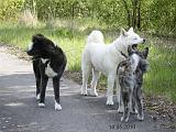 IMG_1892a