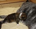 IMG_3355a
