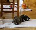 IMG_3452a