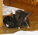 IMG_3458a