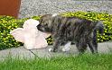 IMG_3480a