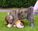 IMG_3517a