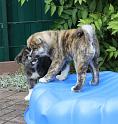 IMG_3636a