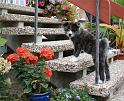IMG_3661a