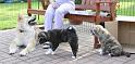 Tenshi+Fushu+Toku_0221_1a