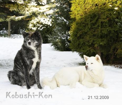 IMG_1304b.JPG - Sei und Yuki genießen den Schnee