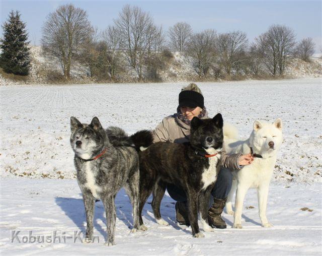 IMG_3882a.JPG - Februar 2012
