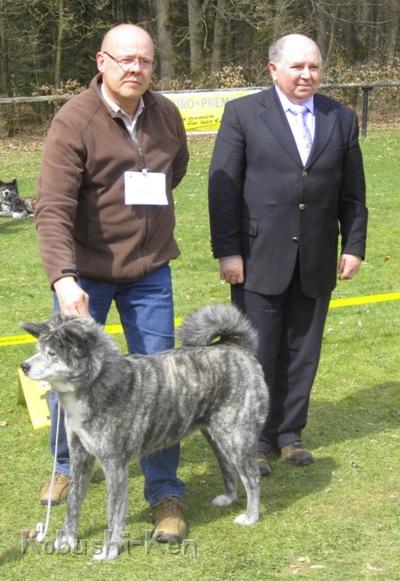 Sei_Reichshof_1787a.JPG - Seiryoume auf der 1. Spezialzuchtschau am 08.04.2012 in Reichshof-Niedersteimel.Seiryoume erhielt in der Championklasse V1 und wurde beste Hündin.