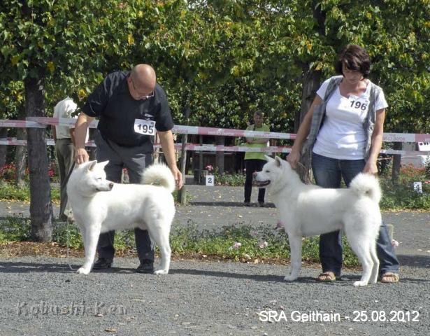 Chusei+Papa5900a.jpg - Yuki (10 Jahre) mit Sohn Chuseishin Koisakura Kensha (1Jahr) beim BOB-Wettbewerb