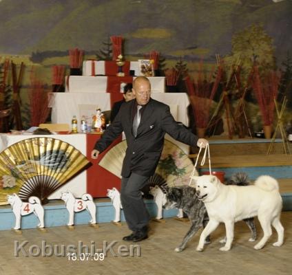 DSC_6061a.jpg - Sei und Yuki bekommen Platz 1 in der Paarklasseauf der 1. Vereinssiegerausstellung in Grassau