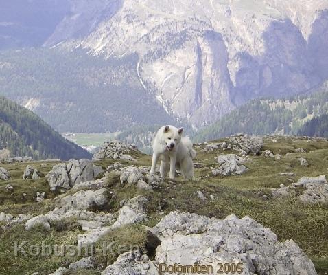 Dolomiten_2005.JPG - Dolomiten 2005