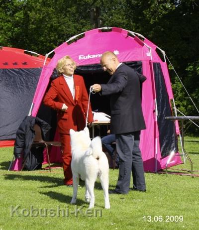 IMG_0879a.JPG - Yuki - BOB auf der Intern. Hundeausstellung in Vejen, DK