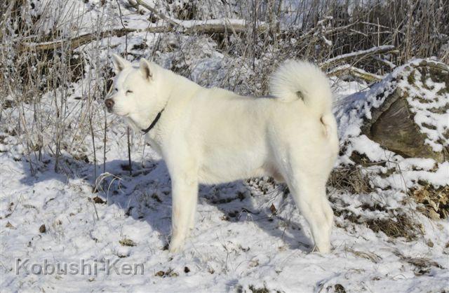 IMG_3908a.JPG - Februar 2012